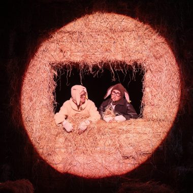 Foutue bergerie Les Brebis Cristiana Reali Yanis Chikhaoui