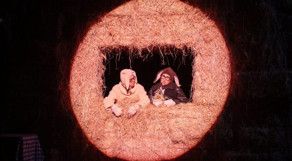 Foutue bergerie Les Brebis Cristiana Reali Yanis Chikhaoui