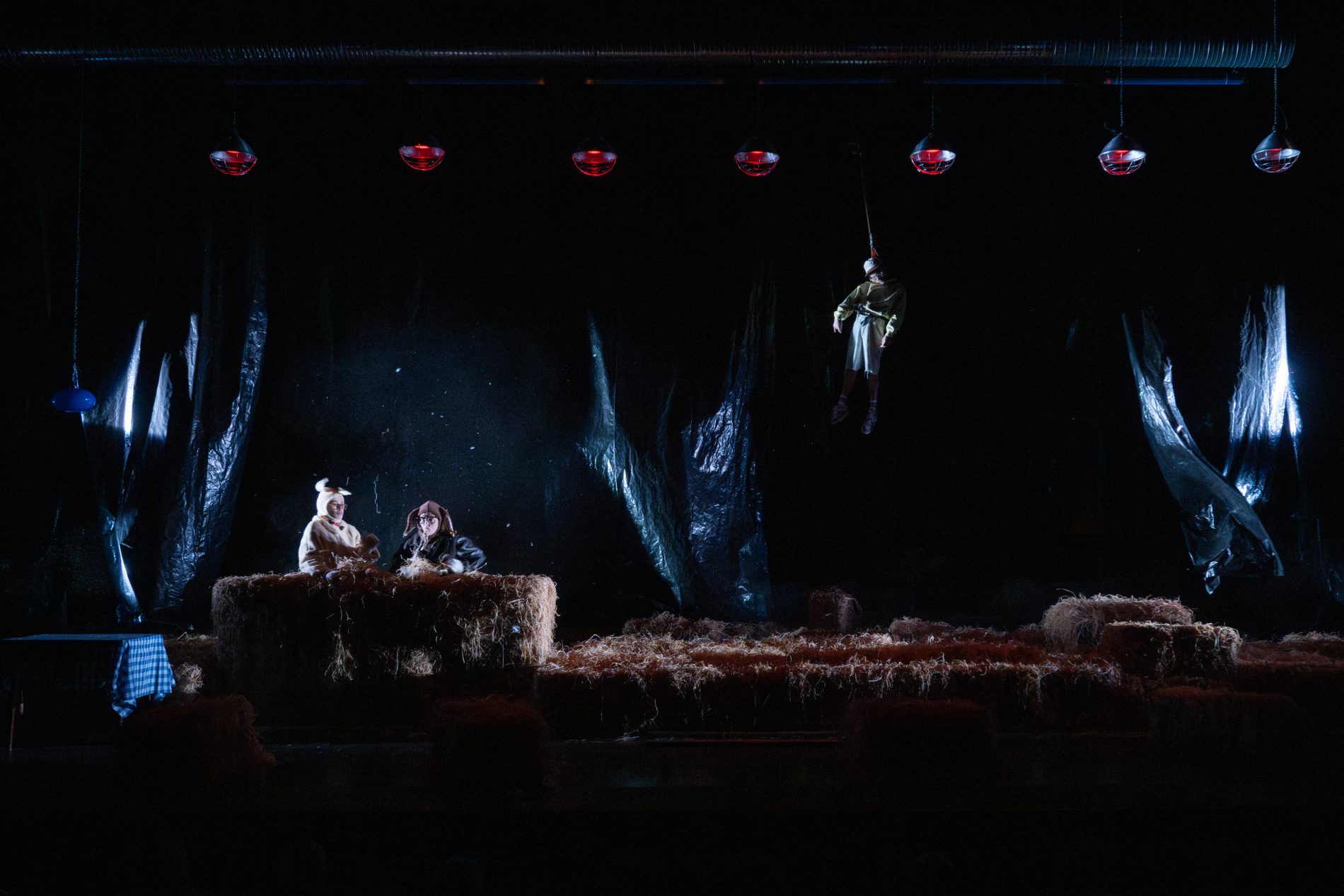 Foutue bergerie de Pierre Guillois