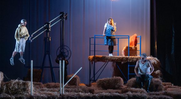 Foutue bergerie de Pierre Guillois