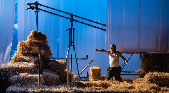 Foutue bergerie de Pierre Guillois