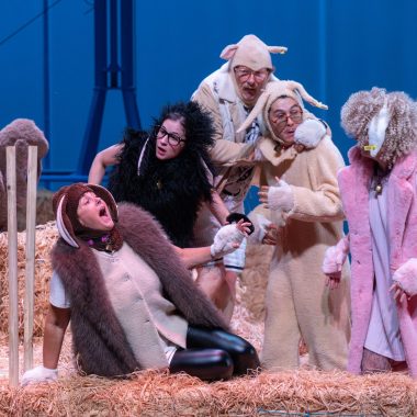 Foutue bergerie de Pierre Guillois