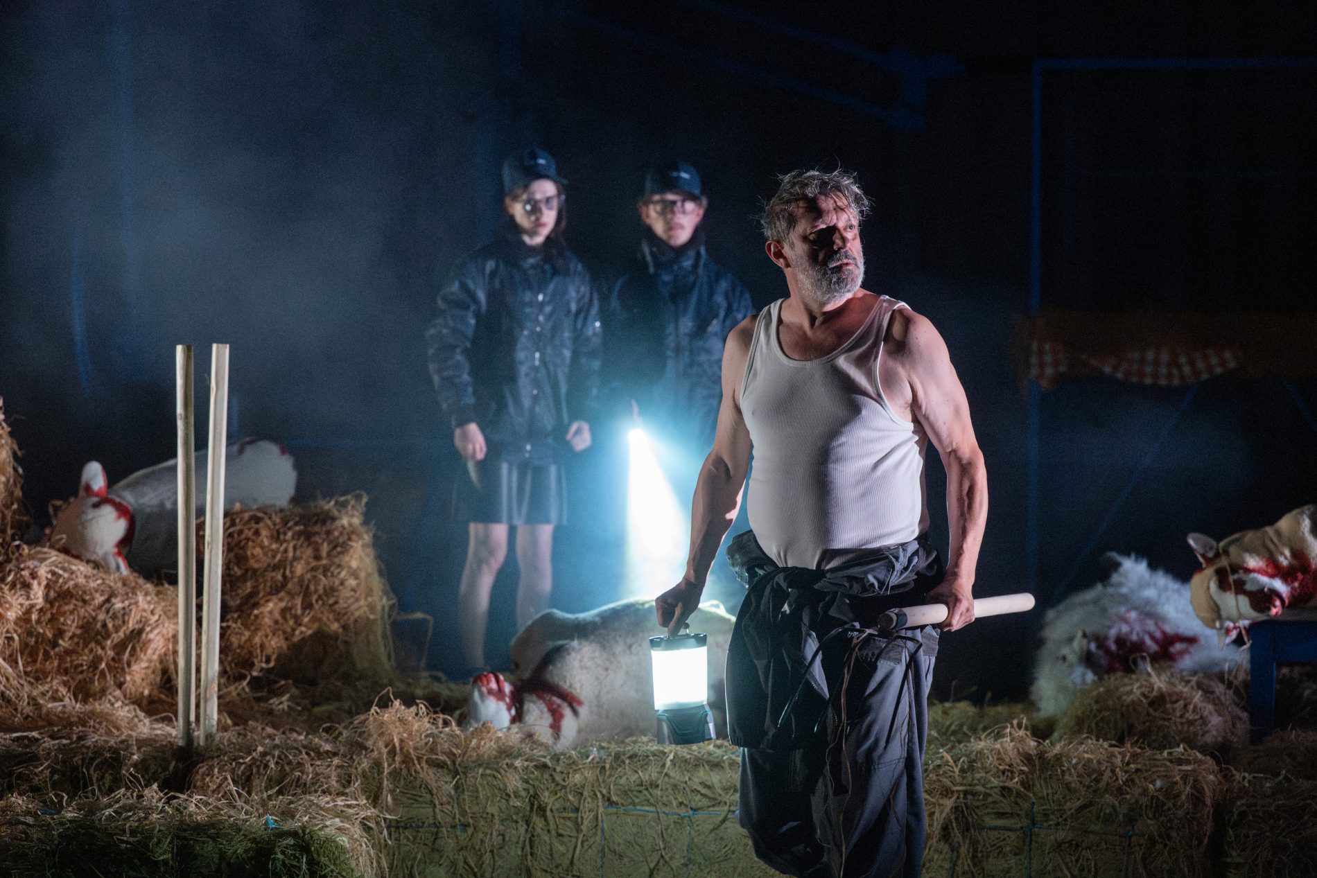 Foutue Bergerie Marc Bodnar