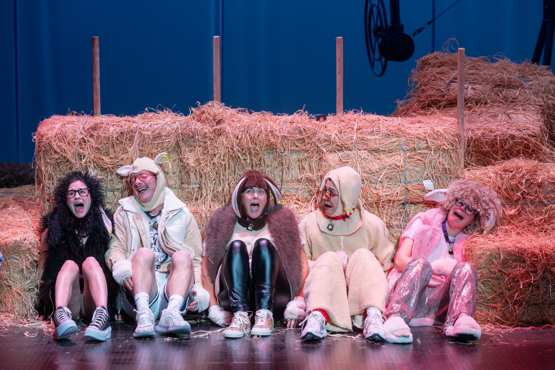 Foutue bergerie de Pierre Guillois